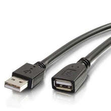 CablesToGo 39010